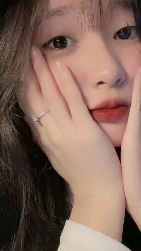恐龙当家普通话版免费观看